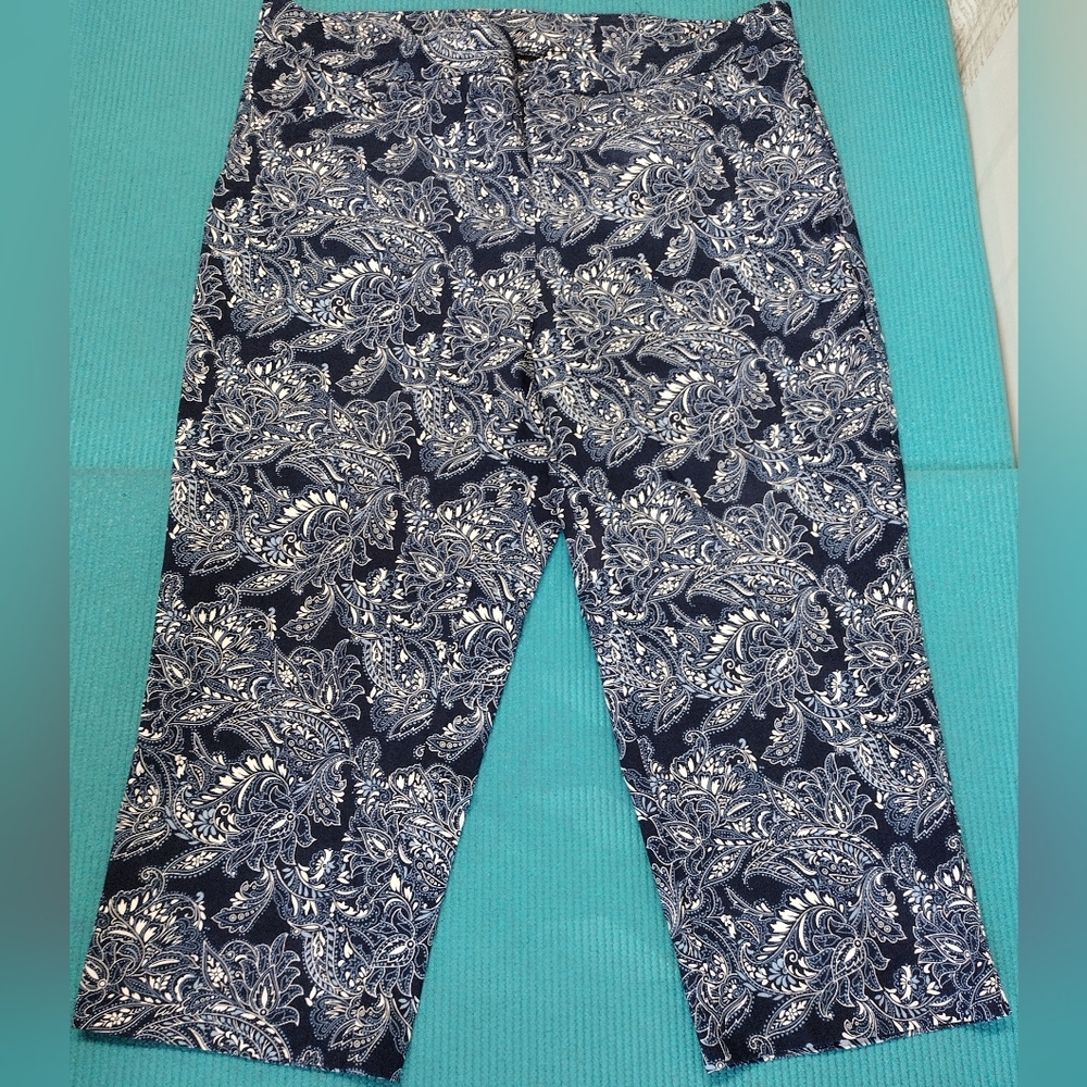 Briggs Women's Floral Paisley Pull On Stretchy Capri Pants Size 16W